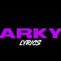 TikTok Account - arky.lyrics