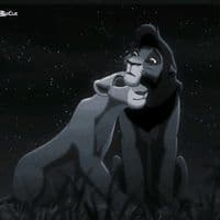 TikTok Account - dunja_edits