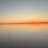 TikTok Account - hugostoreff