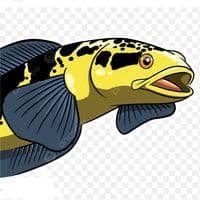 TikTok Account - anggoro.alfiano.erlangga