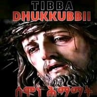 TikTok Account - tpht.tla.shw