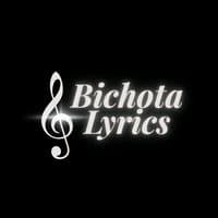 TikTok Account - _bichota.lyrics_