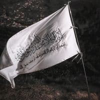 TikTok Account - musli.m997