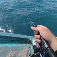 TikTok Account - rega.046