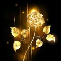 TikTok Account - hassandagrerey