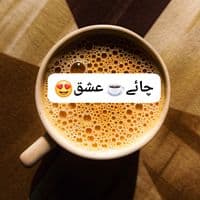 TikTok Account - chai.ishq