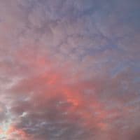 TikTok Account - _vaneoyarce