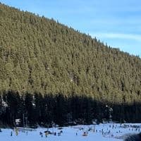 TikTok Account - 333eebb