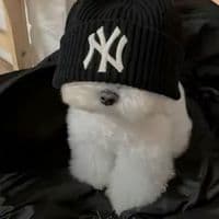 TikTok Account - alex352782