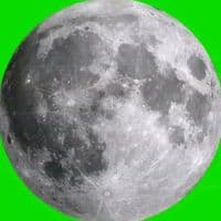 TikTok Account - acc.not.found962