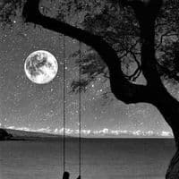 TikTok Account - 4bctr