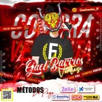 TikTok Account - gaelventas_1