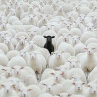 TikTok Account - banks_kirk