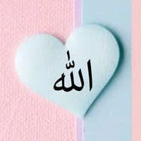 TikTok Account - userpro166