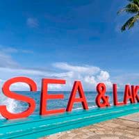 TikTok Account - sea.lake2