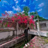 TikTok Account - nafiz0050