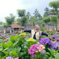 TikTok Account - novianaabellaa