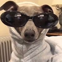 TikTok Account - phu_uu4