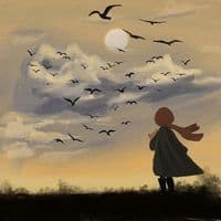 TikTok Account - yabe798