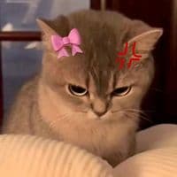 TikTok Account - nora_kimlinhyi4