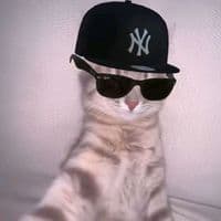 TikTok Account - rodrig_cut