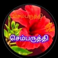 TikTok Account - sembaruthi31