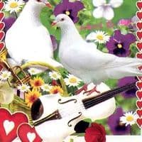 TikTok Account - user1658466619477