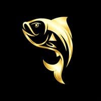 TikTok Account - diormone.sn