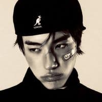 TikTok Account - illusioniststar