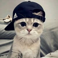 TikTok Account - y.z.k4899