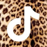 TikTok Account - tiktokmashup_trend