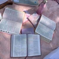 TikTok Account - dodo.d56