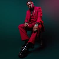 TikTok Account - modelshine001