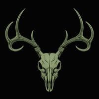 TikTok Account - anythingispossible12_1