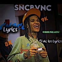 TikTok Account - choco_lyrics18