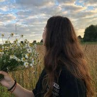 TikTok Account - roya0_