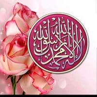 TikTok Account - talha.umar