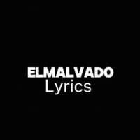 TikTok Account - elmalvado_lyrics