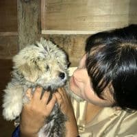 TikTok Account - ug_yen_pel