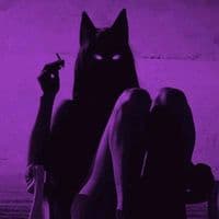 TikTok Account - wcavso