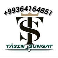 TikTok Account - tasinsungat