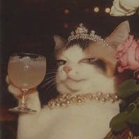 TikTok Account - hala73d