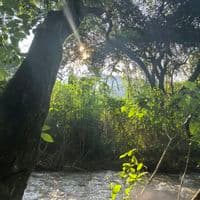 TikTok Account - terminator88onduty