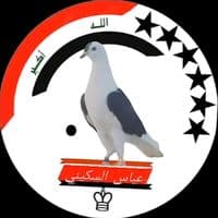 TikTok Account - 4vvrky