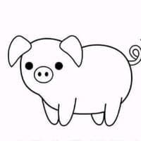 TikTok Account - hspiao1