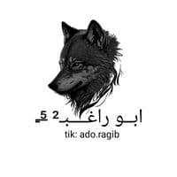 TikTok Account - abo.ragib