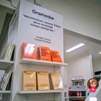 TikTok Account - delisa.lisa25