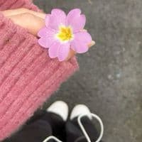 TikTok Account - tweets._.kholod