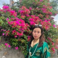 TikTok Account - wangduedzongviewhomestay