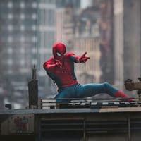 TikTok Account - luciohp1